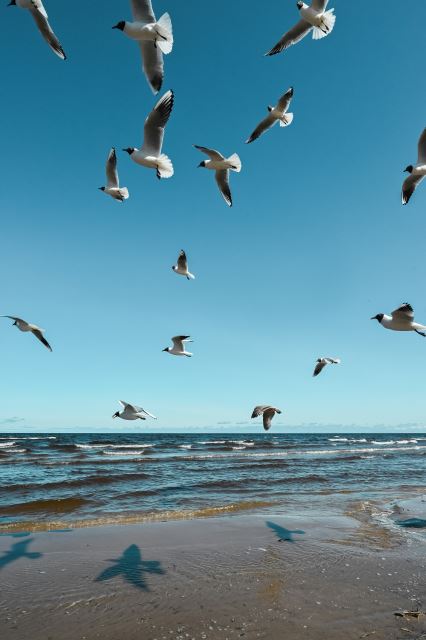 Jurmala