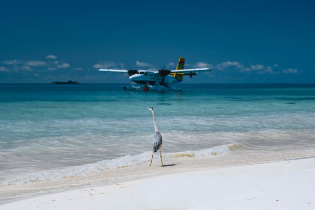 Alifu Dhaalu Atoll