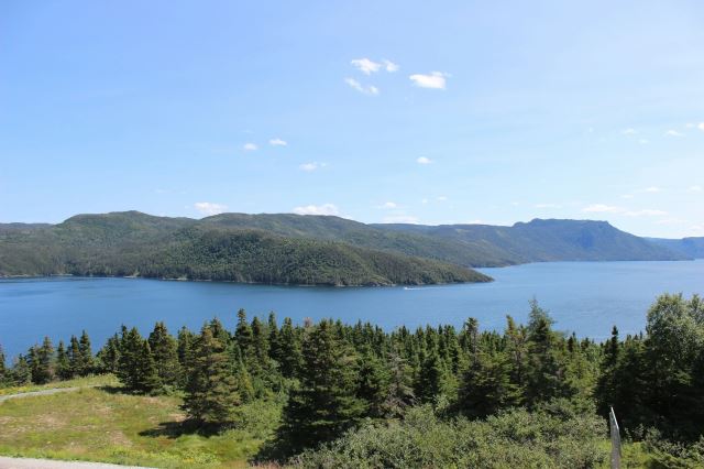 Woody Point