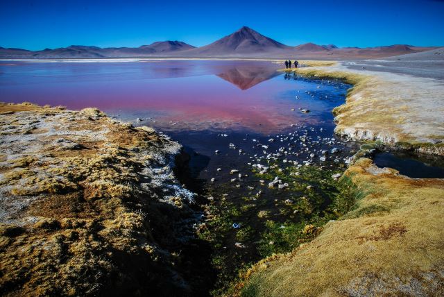 Altiplano