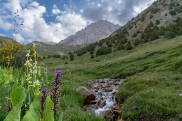 Fann Mountains