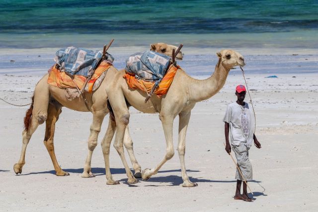 Diani Beach