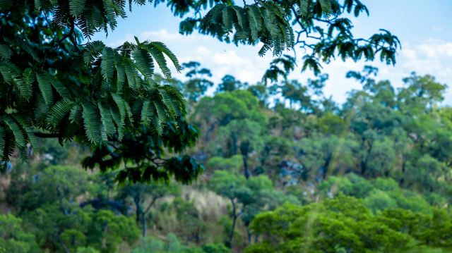 Mulanje