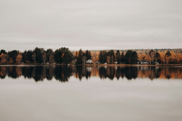 Ely