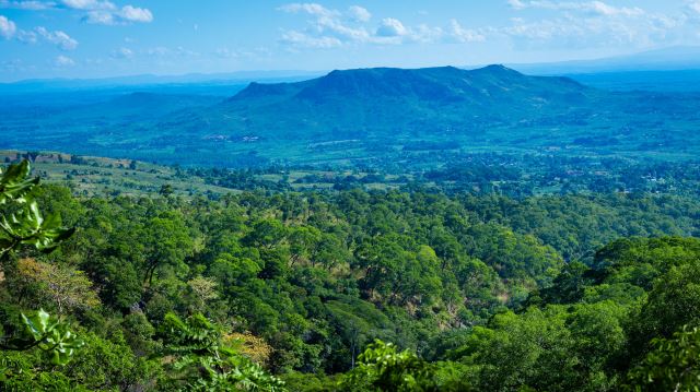 Zomba
