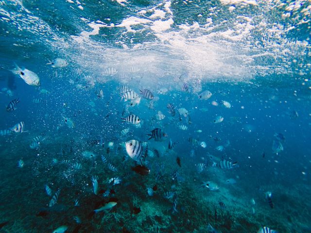Blue Bay