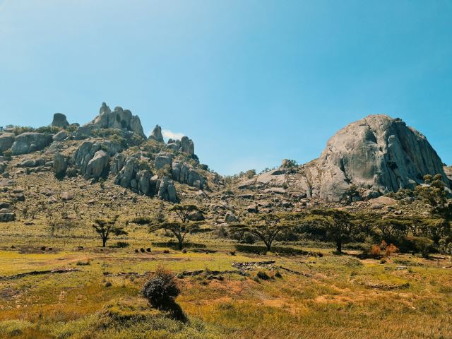 Nyanga
