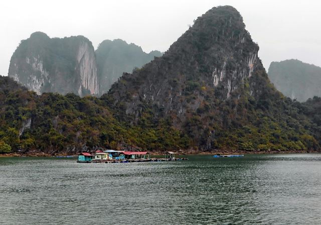 Hạ Long