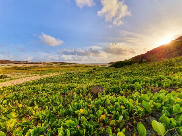  Photo Credit: M2Photo Aruba