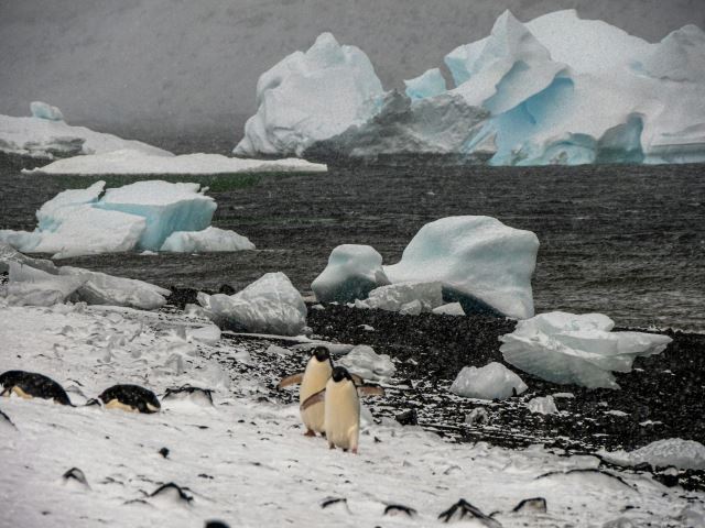 South Orkney Islands