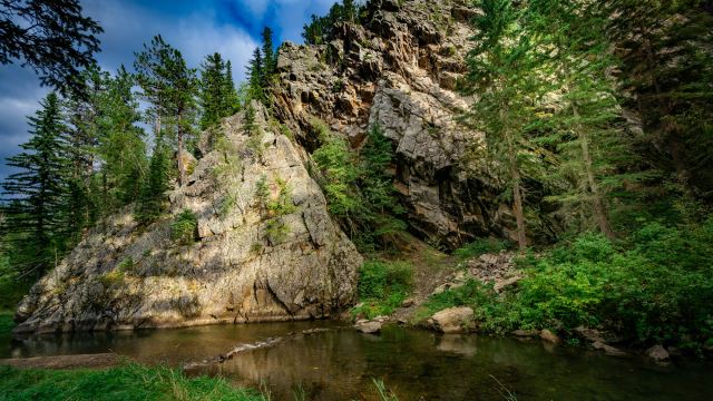 Black Hills National Forest
