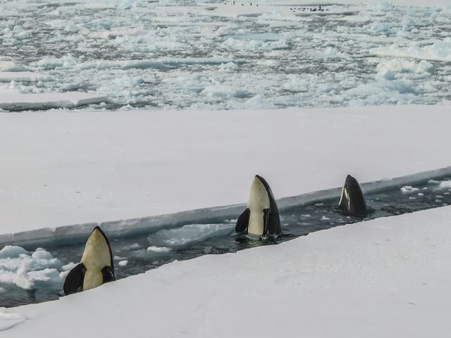 McMurdo Station