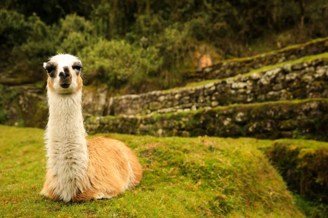 Inca Trail