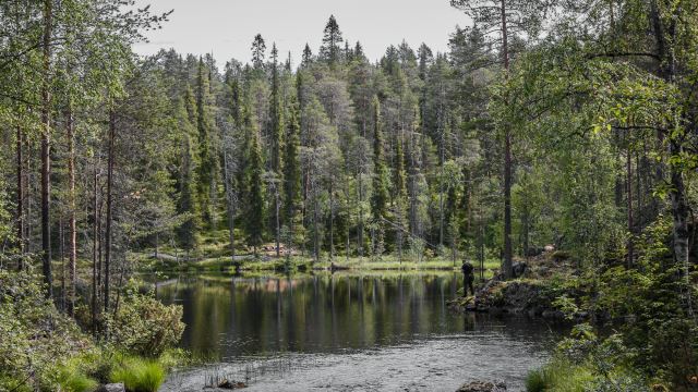 Hossa National Park