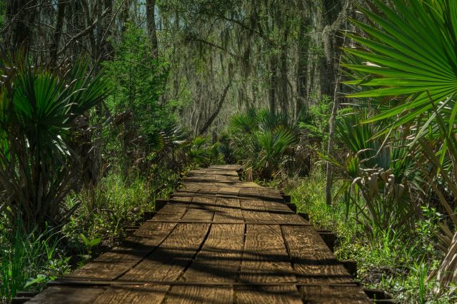 Jean Lafitte National Historical Park and Preserve