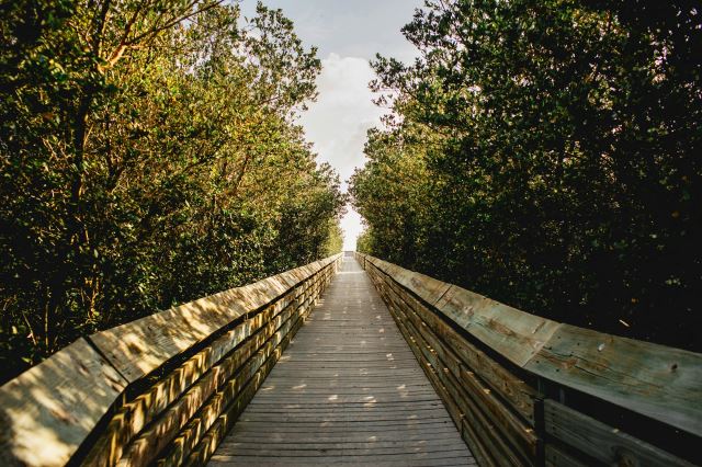 Padre Island