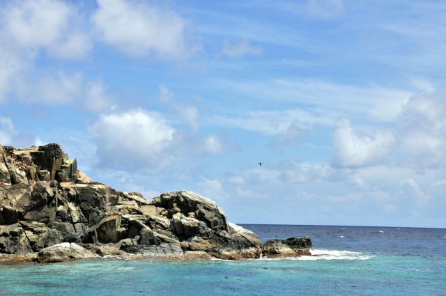 Buck Island