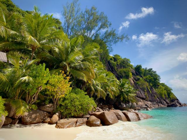 Anse Intendance - Photo Credit: Photo by Steffen Holzner on Unsplash
