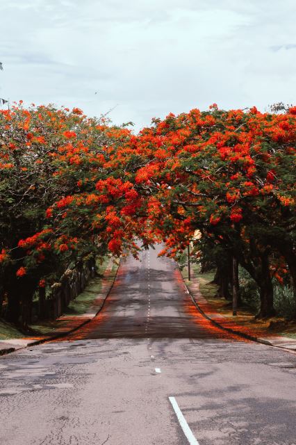 Suva