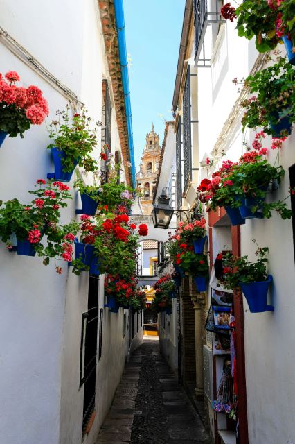Cordoba