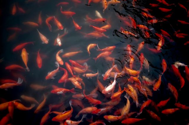 Hangzhou