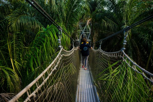 Canopy Walk - Photo Credit: Photo by Omotayo Tajudeen on Unsplash