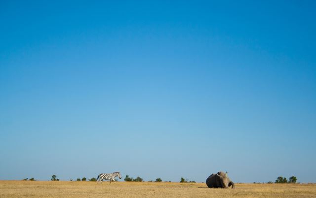 Nanyuki