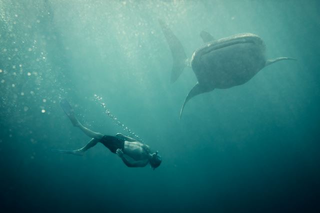 Sumbawa Island