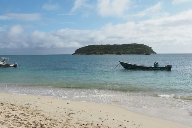 Vieques