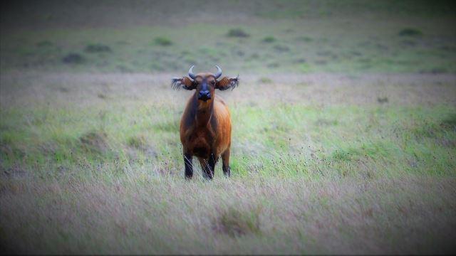  Photo Credit: martin karnis