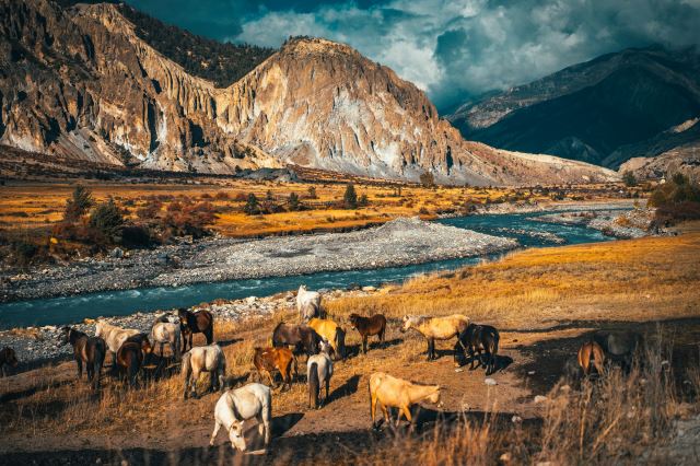 Nepal
