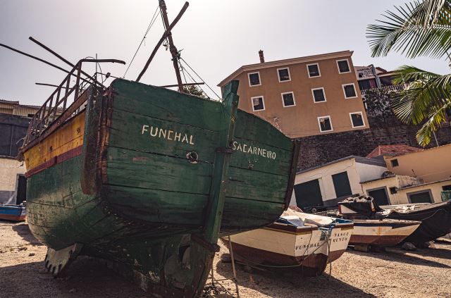  Photo Credit: Image by Matthias Groeneveld from Pixabay
