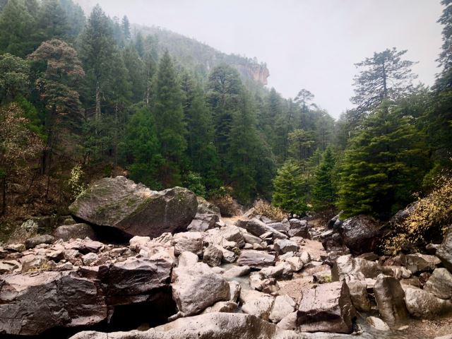 Copper Canyon