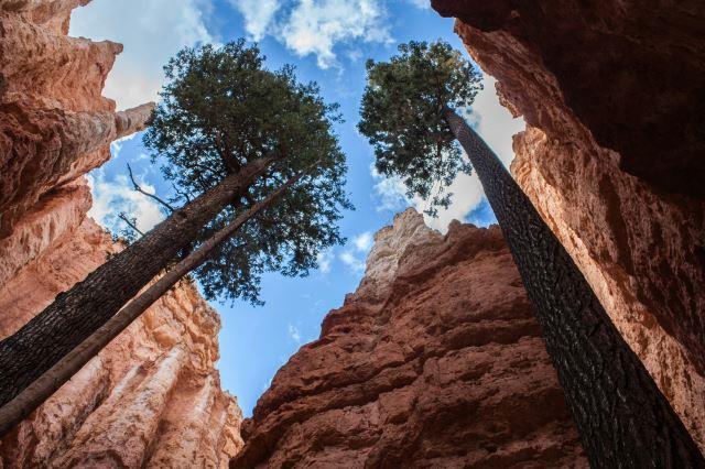 Bryce Canyon