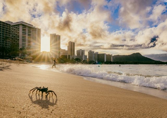 Waikiki, Oahu