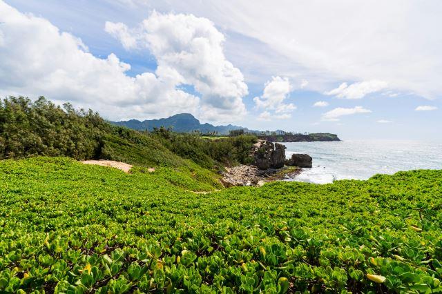 Koloa, Kauai