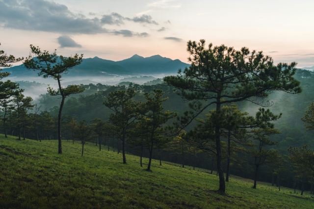 Đà Lạt