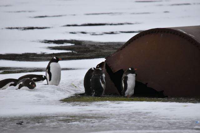 Deception Island