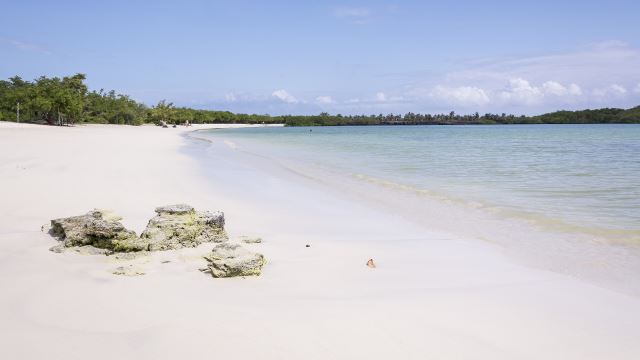 Santa Cruz Island