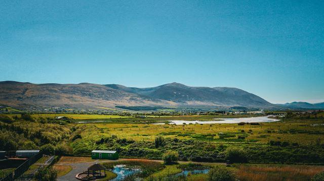 Tralee
