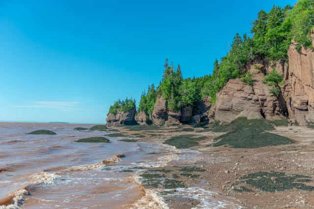 Fundy National Park