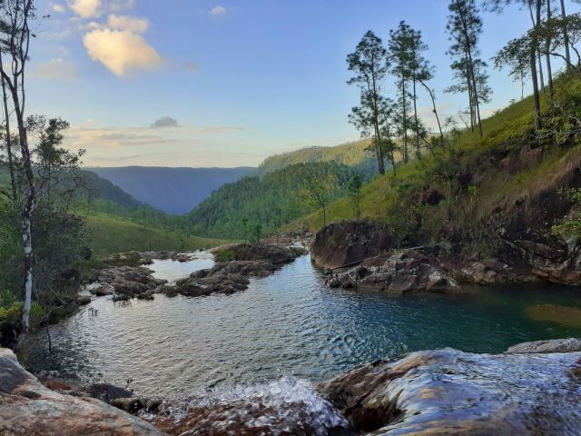 Mountain Pine Ridge