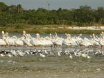 ort De Soto Park - Photo Credit: Photo by Anita Denunzio on Unsplash