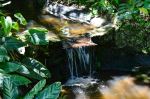 Sunken Gardens - Photo Credit: Photo by Annie Tray-Gavin on Unsplash