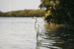 Photo Credit: Photo by Chris Andrews on Unsplash