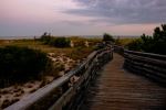 First Landing State Park - Photo Credit: Photo by Salomé Guruli on Unsplash