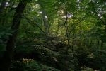 Starved Rock State Park - Photo Credit: Photo by Brandon Karaca on Unsplash