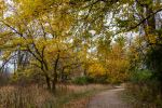 Side Cut Metropark - Photo Credit: Photo by Cathy Holewinski on Unsplash