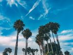  Photo Credit: Photo by Joe Caione on Unsplash