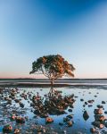  Photo Credit: Photo by Lochie Riordan on Unsplash